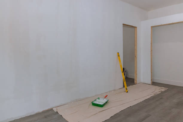  San Diego Country Estates, CA Mold Removal Pros