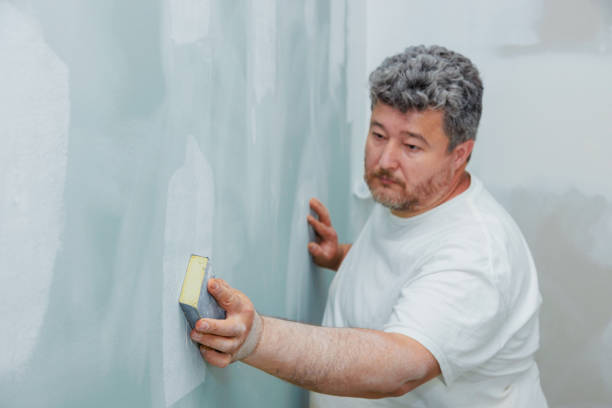 Best HVAC Mold Inspection and Cleaning  in San Diego Country Estates, CA