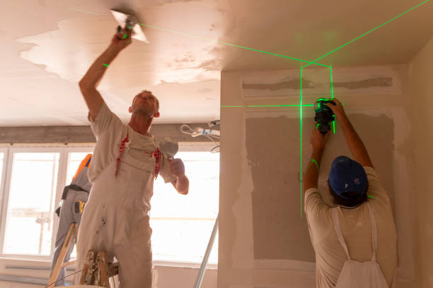 San Diego Country Estates, CA Mold Removal Company