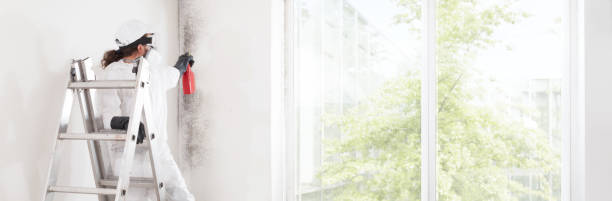 Best Airborne Mold Testing  in San Diego Country Estates, CA