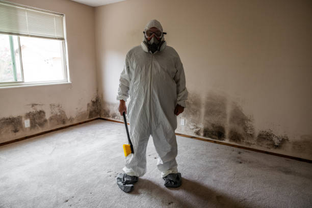 Mold Remediation for Rental Properties in San Diego Country Estates, CA