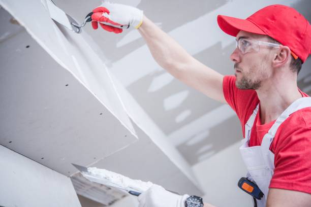 Best Mold Odor Removal Services  in San Diego Country Estates, CA